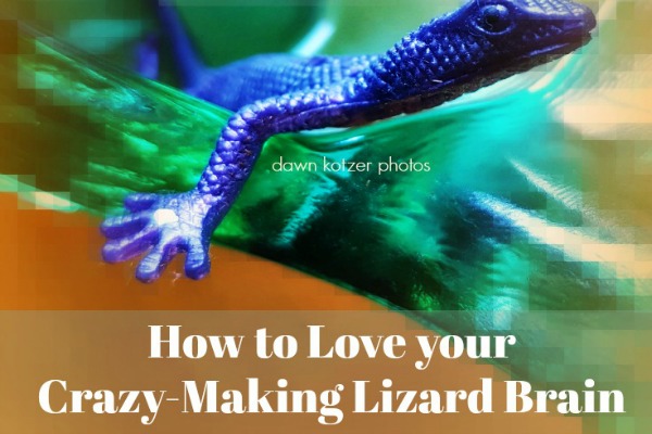 Fear -the Crazy Making Lizard Brain