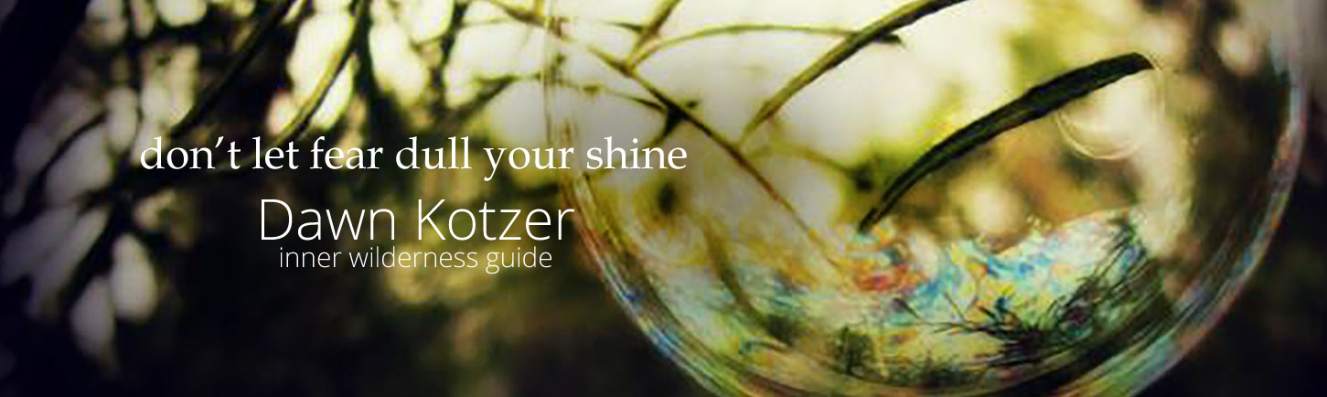 don't let fear dull your shine - Dawn Kotzer - Inner Wilderness Guide